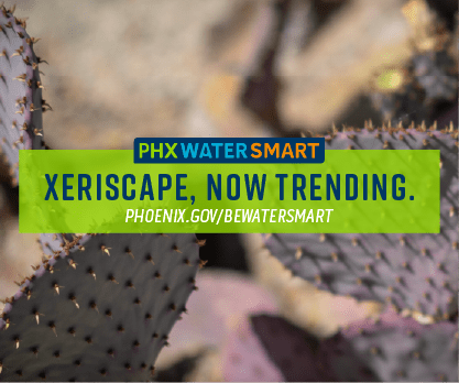 sample work campaign graphic: Phoenix Government Water Conservation